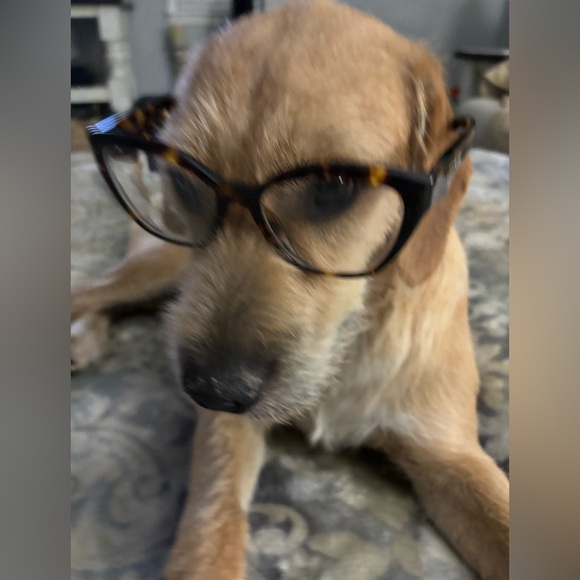 Meet your Posher, Sherri - Picture 6 of 8